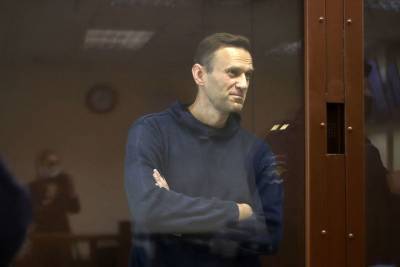 Алексей Навальный - МИД РФ объяснил приезд иностранных дипломатов на суд над Навальным - mk.ru - Москва