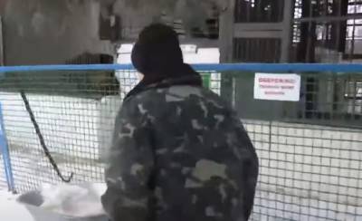 "Хотел покормить": тигр загрыз украинца в зоопарке, детали трагедии и видео - politeka.net