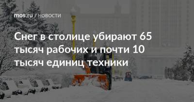 Петр Бирюков - Снег в столице убирают 65 тысяч рабочих и почти 10 тысяч единиц техники - mos.ru - Москва