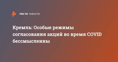 Дмитрий Песков - Кремль: Особые режимы согласования акций во время COVID бессмысленны - ren.tv