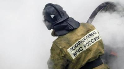 Вадим Наумов - Мать и дочь погибли при пожаре в собственной квартире на Урале - nation-news.ru - Москва - Краснотурьинск