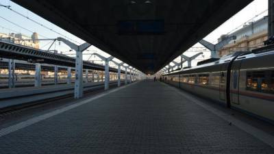 Между Москвой и Петербургом в феврале и марте запустят дополнительные поезда - piter.tv - Москва - Санкт-Петербург