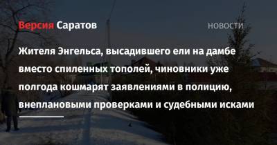 Жителя Энгельса, высадившего ели на дамбе вместо спиленных тополей, чиновники уже полгода кошмарят заявлениями в полицию, внеплановыми проверками и судебными исками - nversia.ru - Пермь - Энгельс