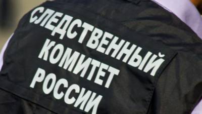 Вадим Наумов - СК проверит действия не пустившего беременную в гатчинский роддом охранника - nation-news.ru - Ленинградская обл.