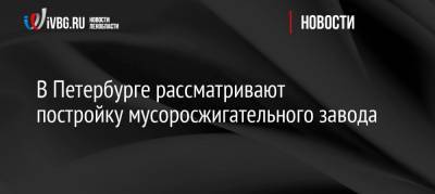 В Петербурге рассматривают постройку мусоросжигательного завода - ivbg.ru - Ленинградская обл. - Санкт-Петербург - Петербург