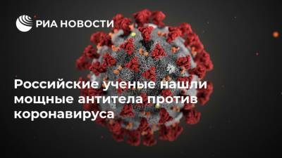Дональд Трамп - Александр Сергеев - Российские ученые нашли мощные антитела против коронавируса - ria.ru - Москва - Россия - США