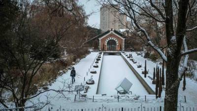В «Аптекарском огороде» пройдут творческие мастер-классы - parkseason.ru - Япония - Новости