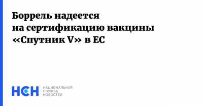 Сергей Лавров - Жозеп Боррель - Боррель надеется на сертификацию вакцины «Спутник V» в ЕС - nsn.fm