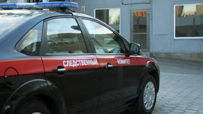 В Воронеже возбудили уголовное дело после падения мужчины на коляску с ребенком - mir24.tv - Воронеж