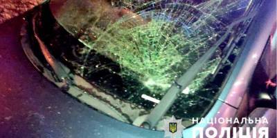 В Запорожской области женщина сбила на пешеходном переходе военных - nv.ua - Запорожская обл. - Энергодар