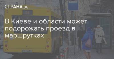 Игорь Моисеенко - В Киеве и области может подорожать проезд в маршрутках - strana.ua - Киев