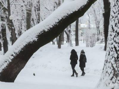 Снег и метели. Укргидрометцентр предупредил об ухудшении погоды и морозах 7–8 февраля - gordonua.com - Украина