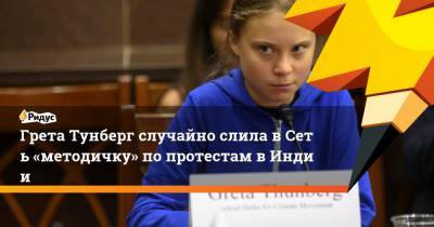 Грета Тунберг - Грета Тунберг случайно слила вСеть «методичку» по протестам вИндии - ridus.ru - New York - Швеция