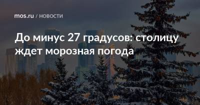До минус 27 градусов: столицу ждет морозная погода - mos.ru