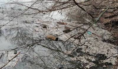 Река в Волгограде покраснела от фекальных стоков - newizv.ru - Волгоград