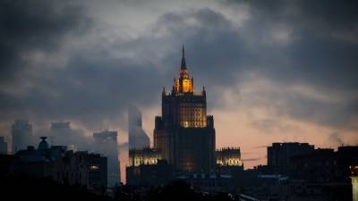 Алексей Навальный - Мария Захарова - Трое дипломатов от ЕС высланы из России за участие в незаконных митингах - polit.info - Москва - Австрия - США - Германия - Швеция - Болгария