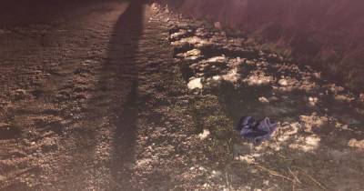 В Ровенской области 17-летний водитель сбил насмерть несовершеннолетнего велосипедиста и скрылся с места ДТП - tsn.ua - Ровенская обл.