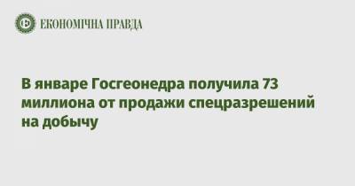 Роман Опимах - В январе Госгеонедра получила 73 миллиона от продажи спецразрешений на добычу - epravda.com.ua - Украина