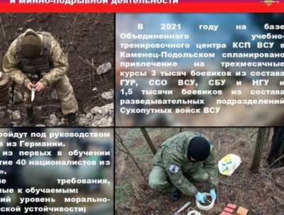 Эдуард Басурин - Немцы снова будут учить украинских неофашистов правильно убивать - vpk-news.ru - ДНР - Хмельницкая обл. - Каменец-Подольский