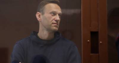Алексей Навальный - Игорь Колесников - Внук Артеменко может подать в суд на Навального за обвинение в получении денег за ролик - m24.ru