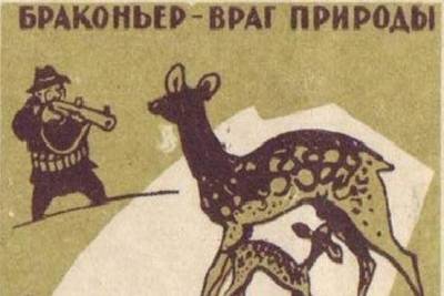 В Ярославской области задержали очередного браконьера, убившего лося - yar.mk.ru - Ярославская обл.
