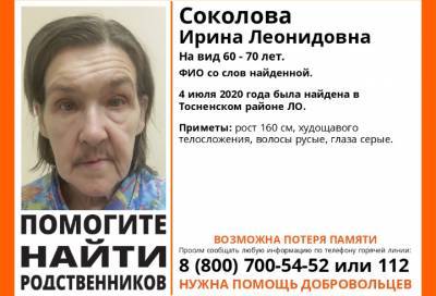 В Ленобласти полгода ищут родственников пожилой женщины с потерей памяти - online47.ru - Ленинградская обл. - Санкт-Петербург - район Тосненский
