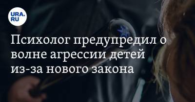 Василий ВЕЛИКИЙ (Великий) - Психолог предупредил о волне агрессии детей из-за нового закона - ura.news