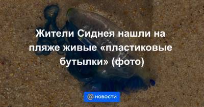 Жители Сиднея нашли на пляже живые «пластиковые бутылки» (фото) - news.mail.ru