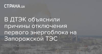 В ДТЭК объяснили причины отключения первого энергоблока на Запорожской ТЭС - strana.ua
