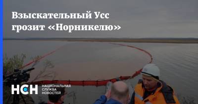 Александр Усс - Взыскательный Усс грозит «Норникелю» - nsn.fm - Красноярский край - Норильск
