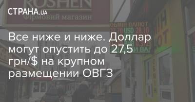 Все ниже и ниже. Доллар могут опустить до 27,5 грн/$ на крупном размещении ОВГЗ - strana.ua