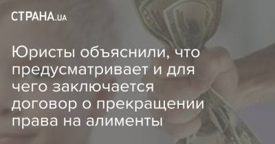 Юристы объяснили, что предусматривает и для чего заключается договор о прекращении права на алименты - strana.ua