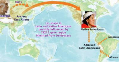 Ученые нашли гены "индейских" черт лица - ren.tv - США
