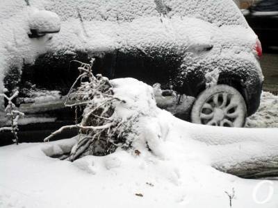 Погода в Одессе 6 февраля: быть ли снегопаду? - odessa-life.od.ua - Одесса - Одесская обл.