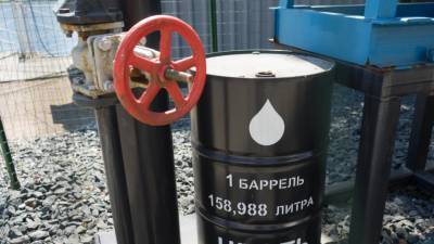 Хабаровский НПЗ возобновил выпуск бензина АИ-95 - mir24.tv - Хабаровск