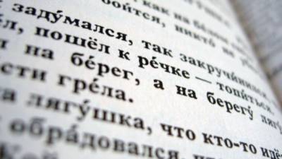 Жители Алчевска в ЛНР поразмышляли о ценности русского языка - riafan.ru - ЛНР - Алчевск