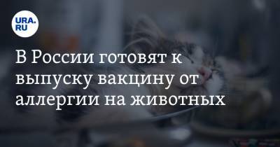 В России готовят к выпуску вакцину от аллергии на животных. Сроки - ura.news - Вена