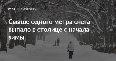 Свыше одного метра снега выпало в столице с начала зимы - mos.ru - Москва