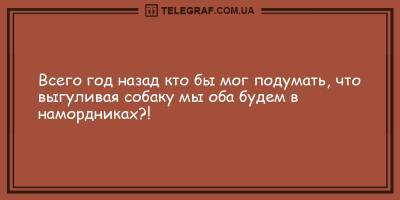 Анекдоты на день 6 февраля, которые подарят вам хорошее настроение - ТЕЛЕГРАФ - telegraf.com.ua