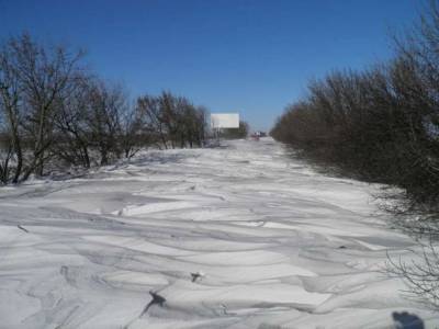 Животные в приюте под Киевом оказались в снежной ловушке - lenta.ua - Киев - Киевская обл. - район Бучанский