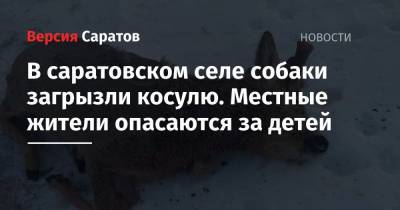 В саратовском селе собаки загрызли косулю. Местные жители опасаются за детей - nversia.ru - Саратовская обл. - район Саратовский