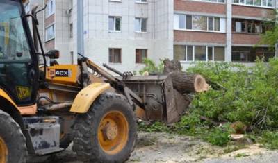 Борьба за озеленение Тюмени пока бесполезна, потому что город спроектирован для машин - nashgorod.ru - Тюмень - Нью-Йорк