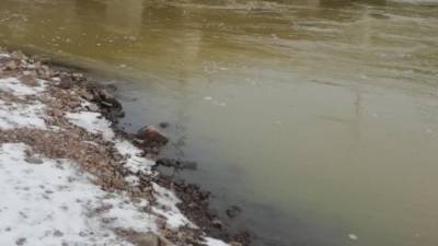 Экологи назвали причину покраснения реки Арчеда - politros.com - Волгоградская обл.