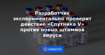 Разработчик экспериментально проверит действие «Спутника V» против новых штаммов вируса - news.mail.ru - Юар