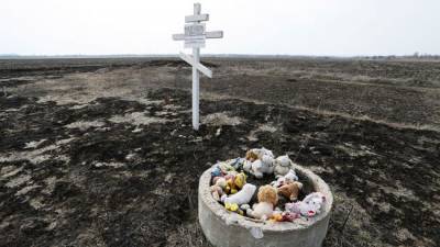 Нидерланды о роли Украины в крушении MH17: Она просто не виновата, и все - eadaily.com - Голландия