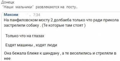 Дарья Морозова - В Донецке два террориста «ДНР» застрелили собаку на Панфиловском мосту - real-vin.com - ДНР - Донецк