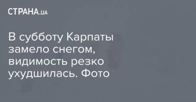 В субботу Карпаты замело снегом, видимость резко ухудшилась. Фото - strana.ua - Украина - Киев