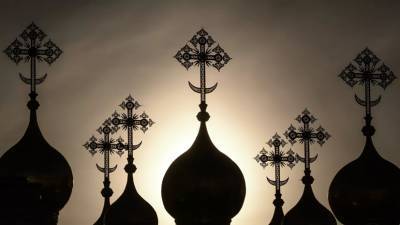 митрополит Иларион - В РПЦ не планируют спешить с ослаблением мер по коронавирусу - russian.rt.com