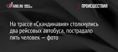На трассе «Скандинавия» столкнулись два рейсовых автобуса, пострадало пять человек — фото - ivbg.ru - Ленобласть