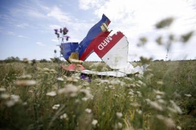 Стеф Блок - Катастрофа MH17: Нидерланды не будут обвинять Украину из-за незакрытого авиапространства - zik.ua - Голландия